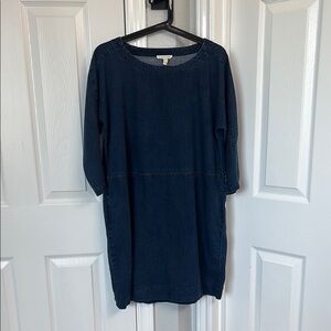 Eileen Fisher denim dress